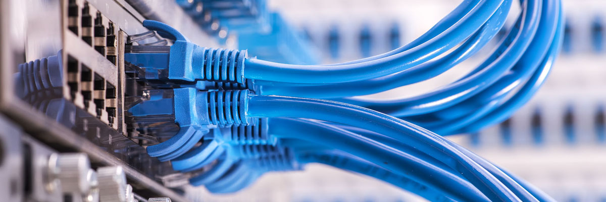 free network assessment